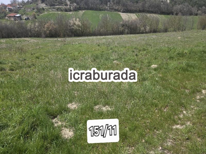 icralık  m2 Tarla Bolu Göynük Kaşikçişeyhler