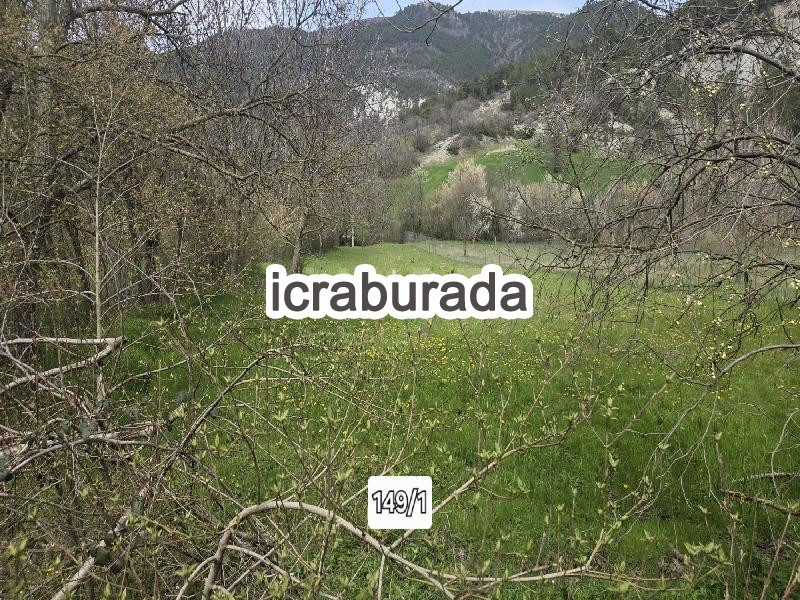 icralık  m2 Tarla Bolu Göynük Kaşikçişeyhler
