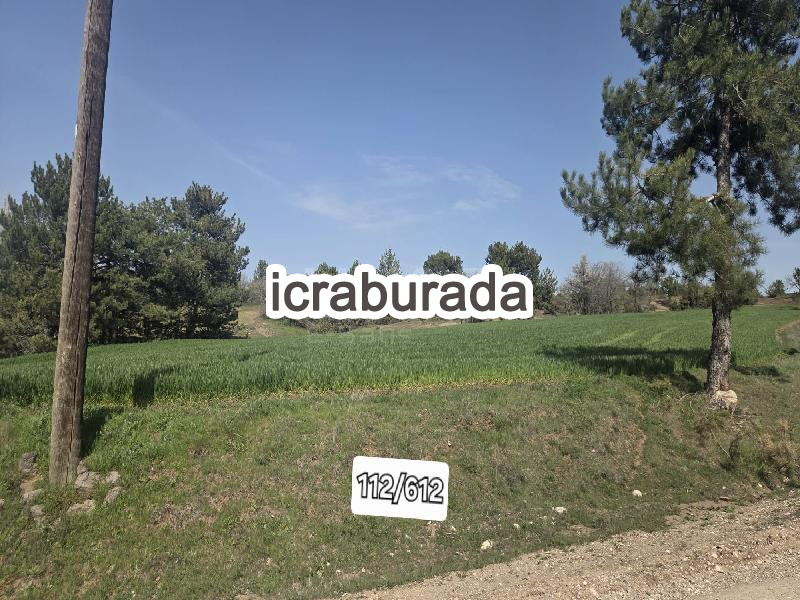 icralık  m2 Tarla Bolu Göynük Bayindir