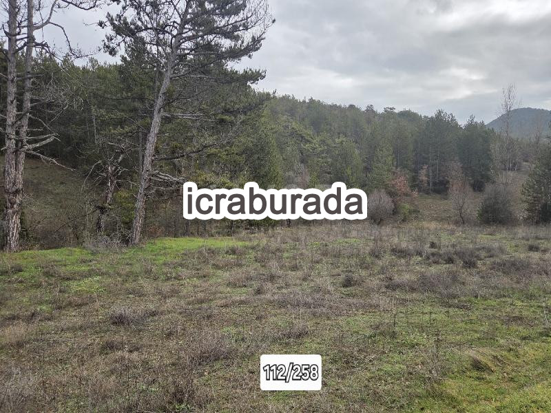 icralık  m2 Tarla Bolu Göynük Bayindir