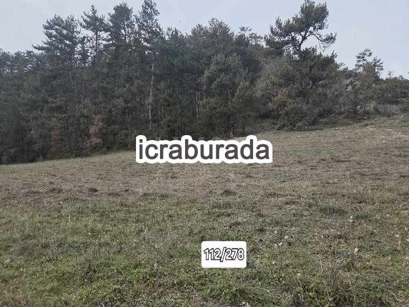 icralık  m2 Tarla Bolu Göynük Bayindir