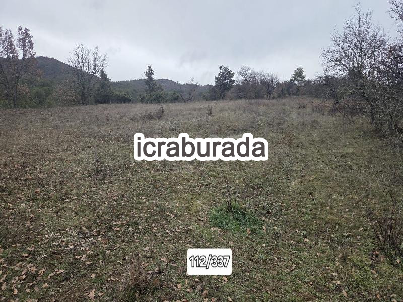 icralık  m2 Tarla Bolu Göynük Bayindir