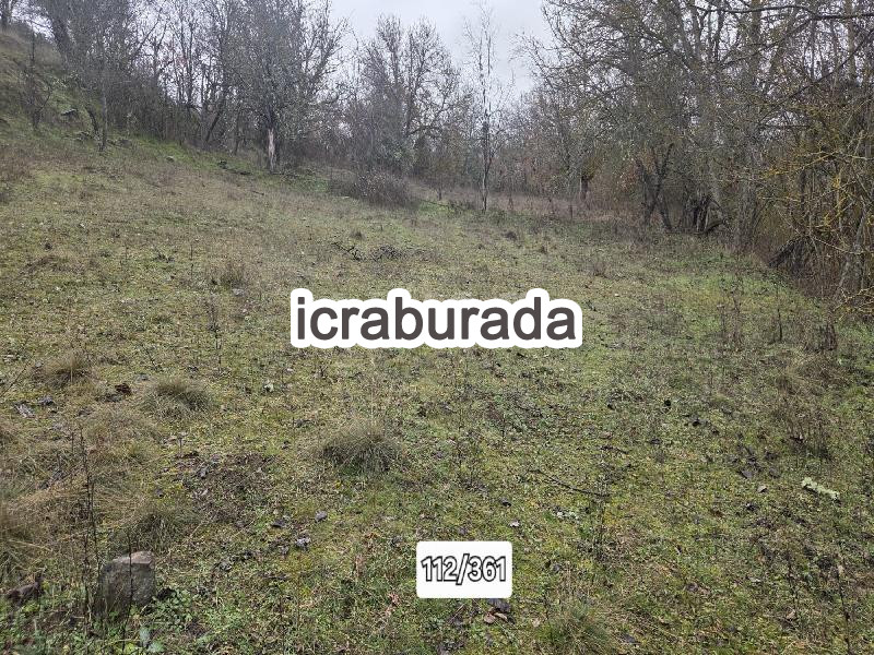 icralık  m2 Tarla Bolu Göynük Bayindir