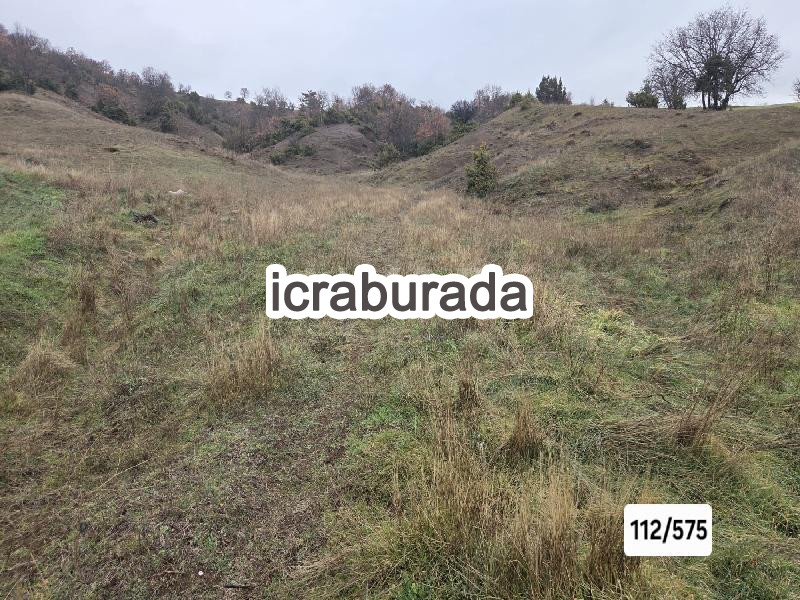 icralık  m2 Tarla Bolu Göynük Bayindir