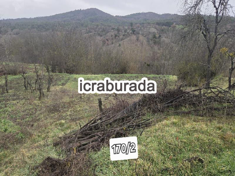 icralık  m2 Tarla Bolu Göynük Bayindir