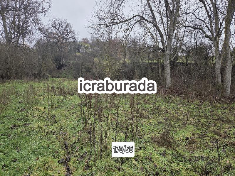 icralık  m2 Tarla Bolu Göynük Bayindir