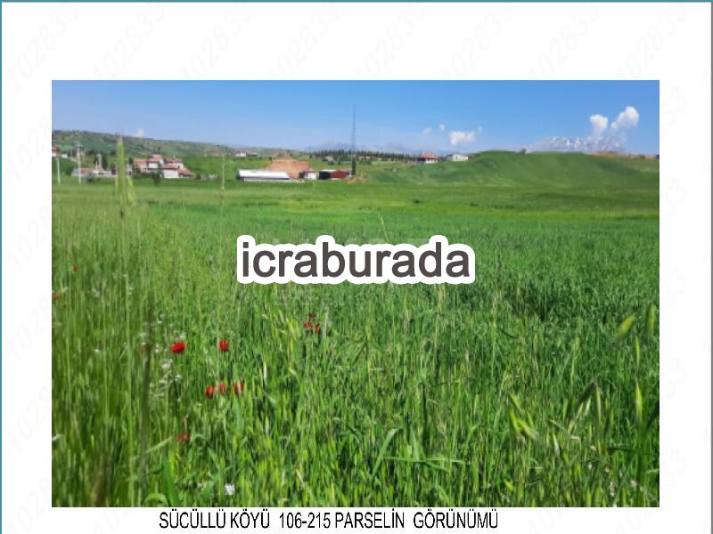icralık  m2 Tarla Isparta Yalvaç Sücüllü