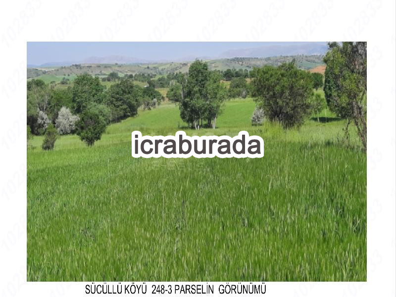 icralık  m2 Tarla Isparta Yalvaç Sücüllü