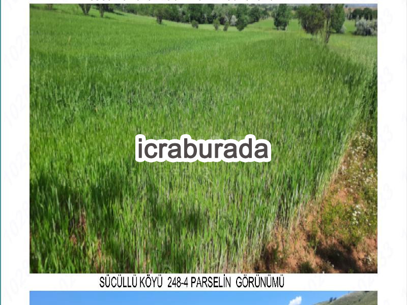 icralık  m2 Tarla Isparta Yalvaç Sücüllü