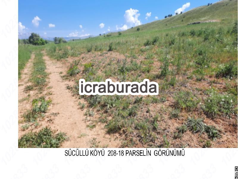 icralık  m2 Tarla Isparta Yalvaç Sücüllü