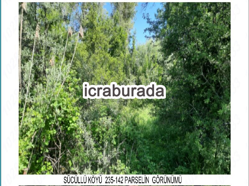 icralık  m2 Tarla Isparta Yalvaç Sücüllü