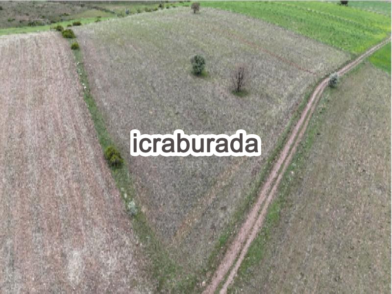 icralık  m2 Tarla Kayseri Pınarbaşı Avşarpotuklu
