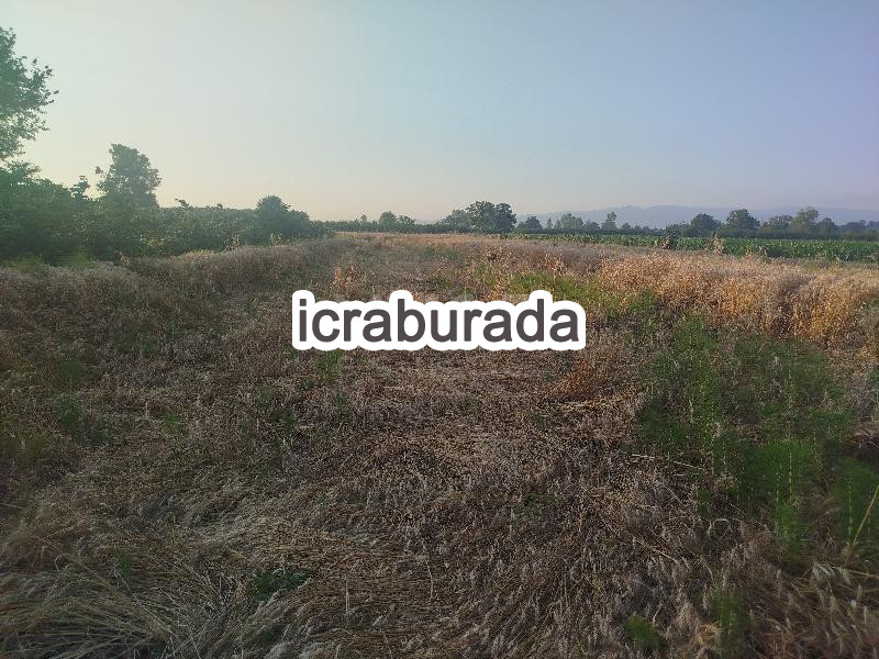 icralık  m2 Tarla Sakarya Hendek Türbe