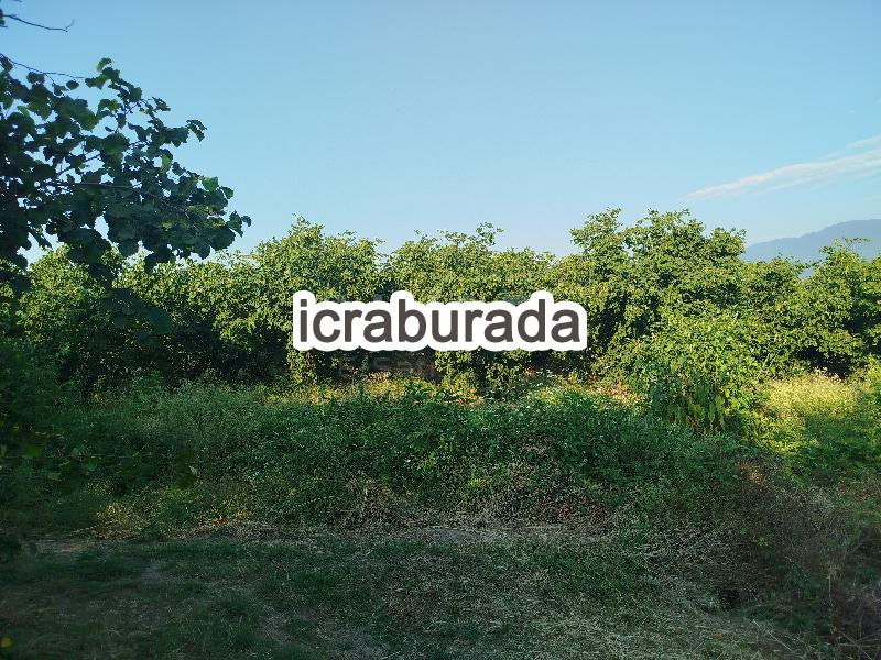 icralık  m2 Tarla Sakarya Hendek Türbe