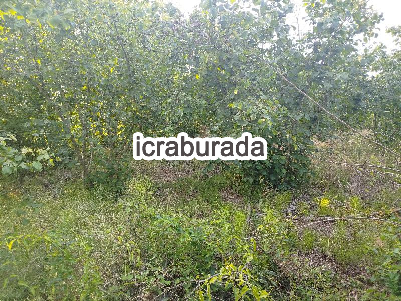 icralık  m2 Tarla Sakarya Hendek Türbe