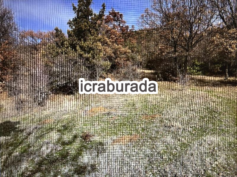 icralık  m2 Tarla Manisa Gördes Çiçekli