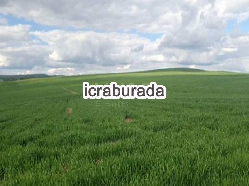 icralık  m2 Tarla Yozgat Sorgun Dişli