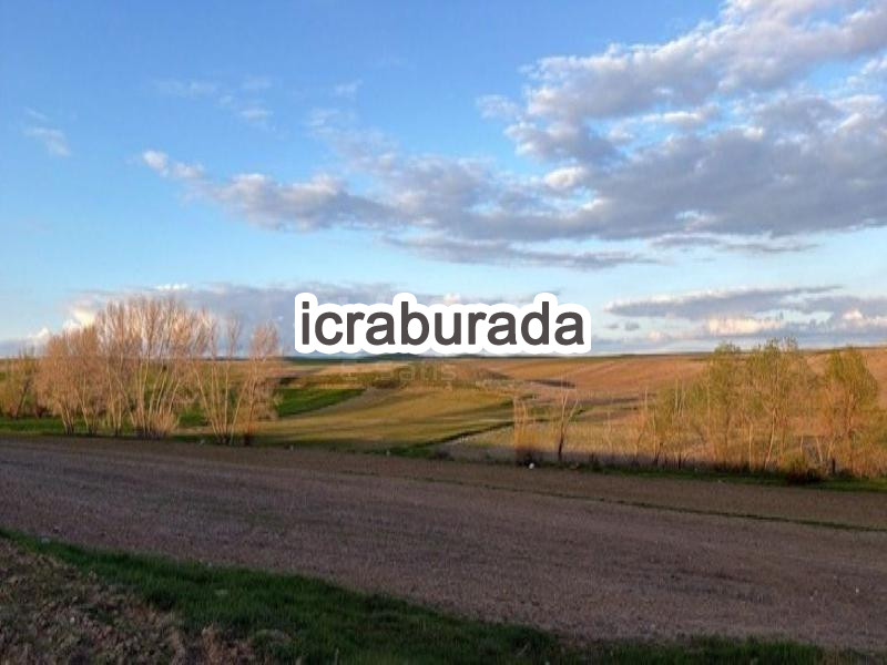 icralık  m2 Tarla Yozgat Sorgun Dişli