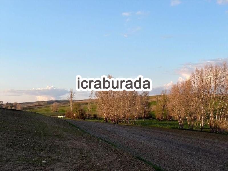 icralık  m2 Tarla Yozgat Sorgun Dişli
