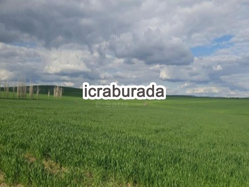 icralık  m2 Tarla Yozgat Sorgun Dişli