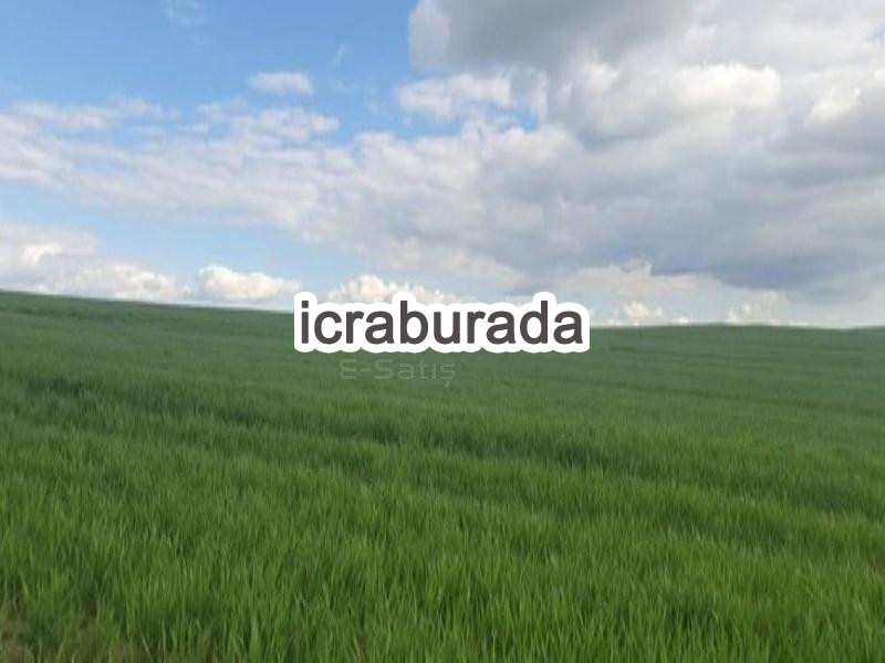 icralık  m2 Tarla Yozgat Sorgun Dişli