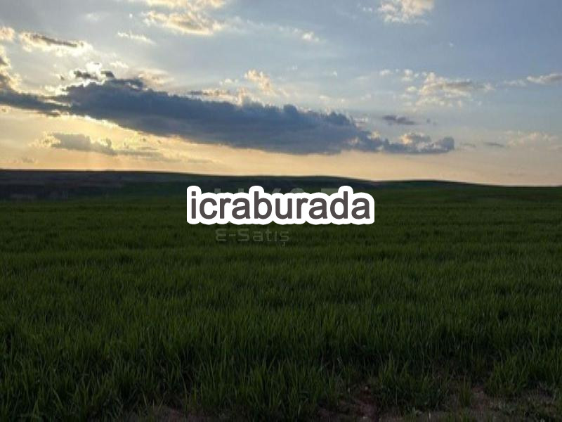 icralık  m2 Tarla Yozgat Sorgun Dişli