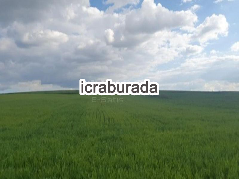 icralık  m2 Tarla Yozgat Sorgun Dişli