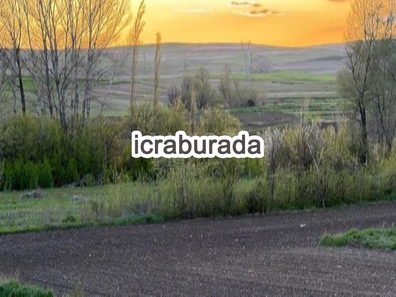 icralık  m2 Tarla Yozgat Sorgun Dişli