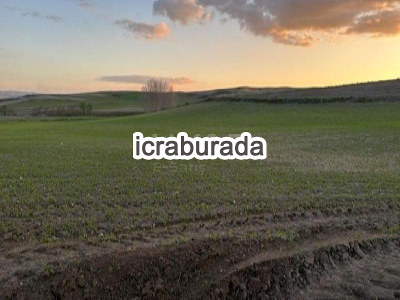 icralık  m2 Tarla Yozgat Sorgun Dişli
