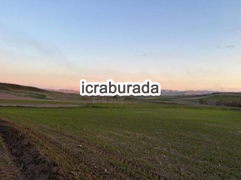 icralık  m2 Tarla Yozgat Sorgun Dişli