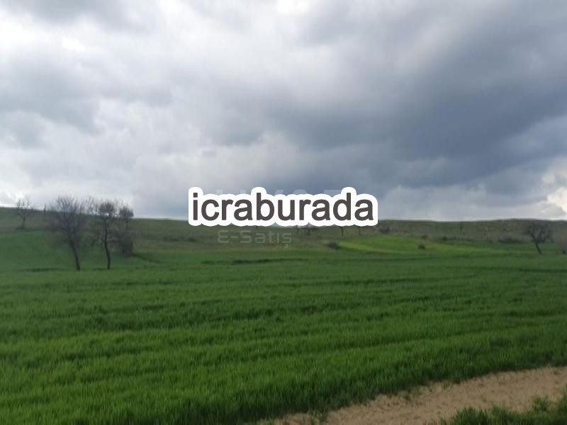 icralık  m2 Bag Yozgat Sorgun Dişli