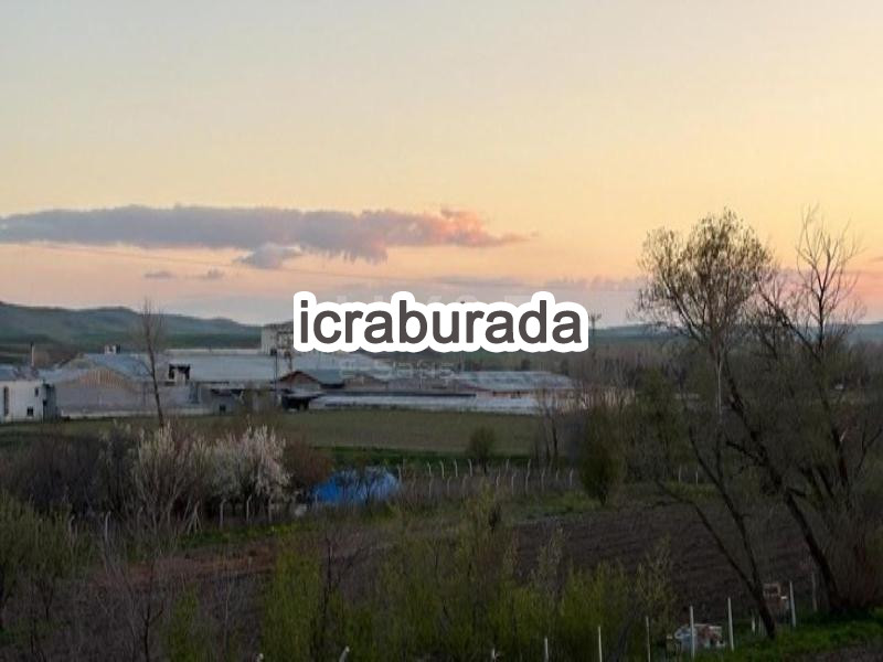 icralık  m2 Tarla Yozgat Sorgun Dişli
