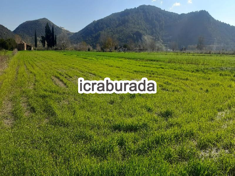 icralık  m2 Tarla Muğla Milas Dibekdere