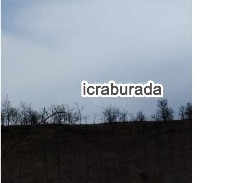 icralık  m2 Tarla Samsun Kavak Mahmutlu