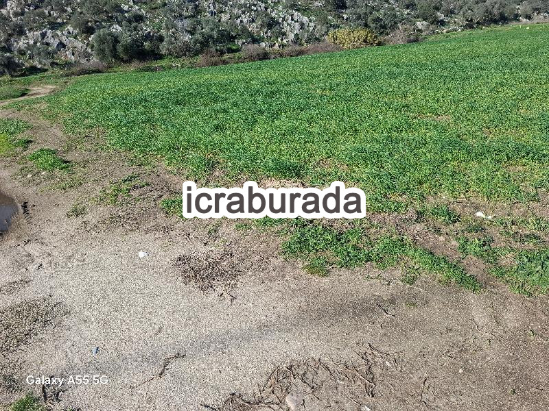 icralık  m2 Tarla Muğla Milas Dibekdere