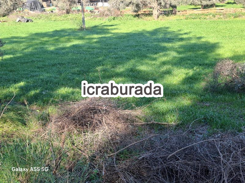 icralık  m2 Diger Muğla Milas Dibekdere