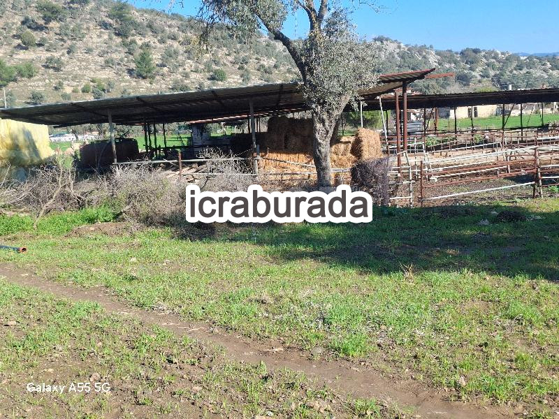 icralık  m2 Tarla Muğla Milas Dibekdere