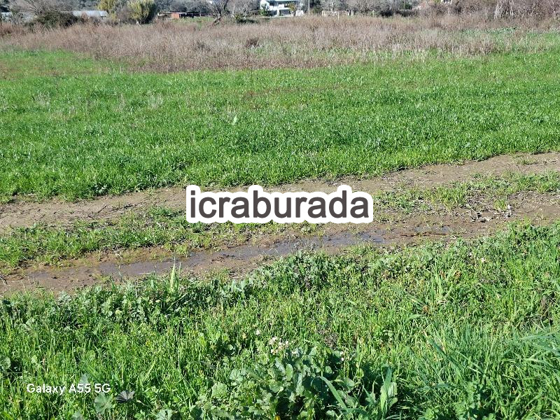 icralık  m2 Tarla Muğla Milas Dibekdere
