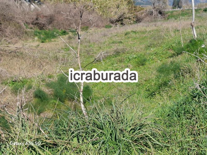 icralık  m2 Tarla Muğla Milas Dibekdere