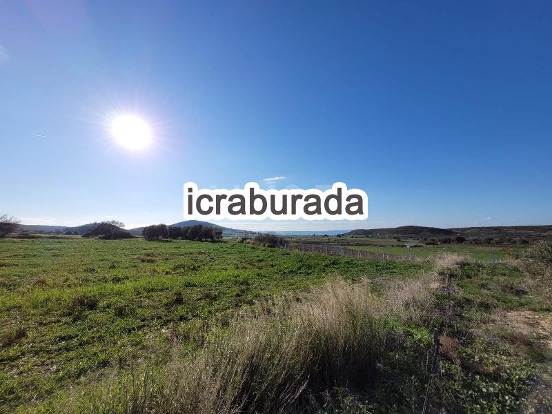 icralık  m2 Tarla Aydın Didim Akköy