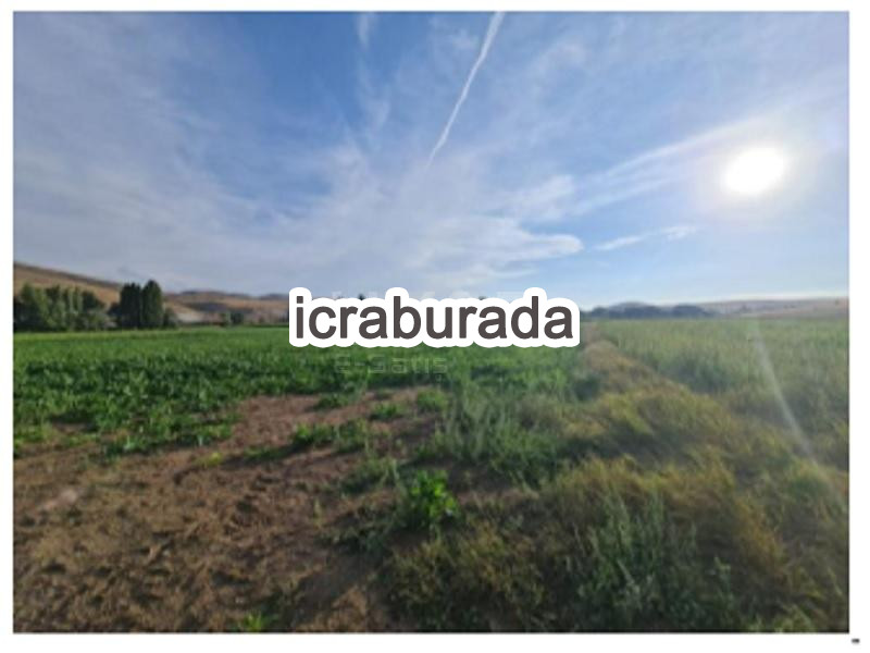 icralık  m2 Tarla Sivas Yıldızeli Karşiyaka