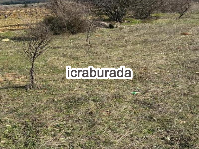 icralık  m2 Tarla Denizli Çal Süller