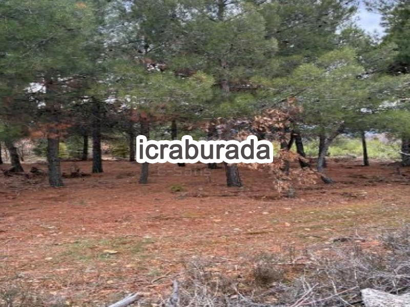 icralık  m2 Tarla Denizli Çal Süller
