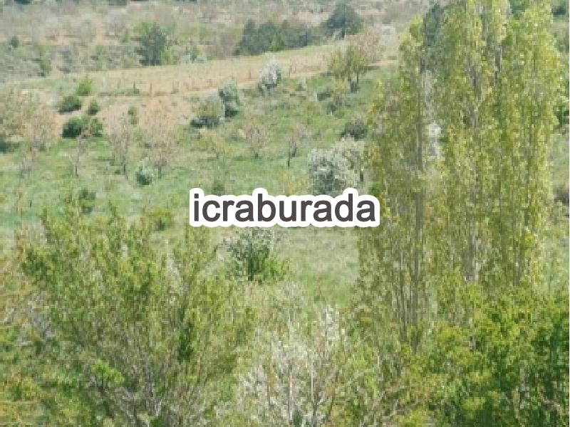 icralık  m2 Diger Konya Taşkent Balcilar/yukari