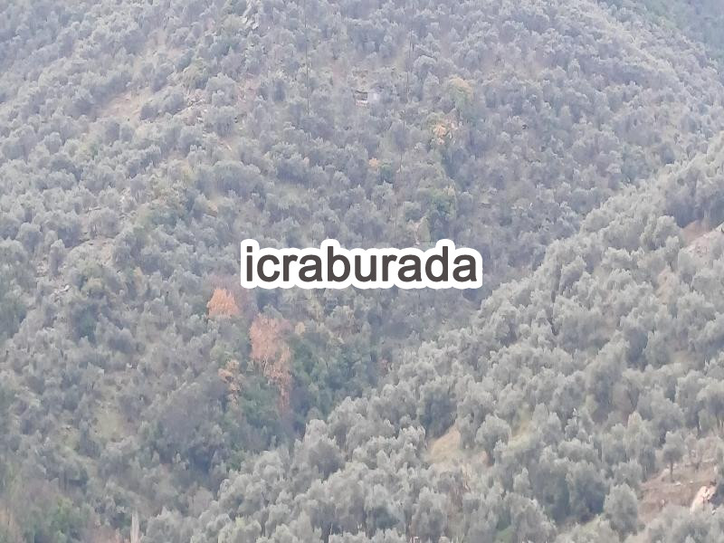 icralık  m2 Tarla İzmir Bayındır Hisarlik