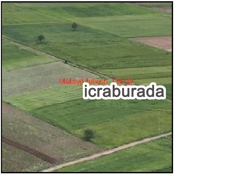 icralık  m2 Tarla Denizli Tavas Uluköy(Ulukent)