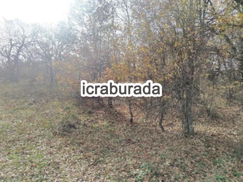 icralık  m2 Tarla Bilecik Söğüt Kepen