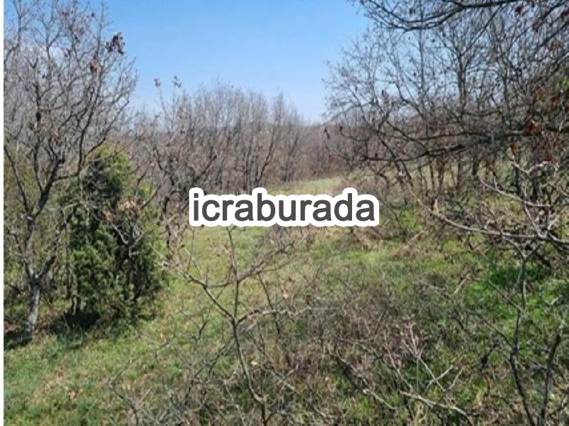 icralık  m2 Tarla Bilecik Söğüt Kepen