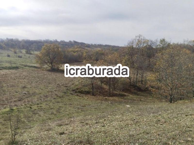 icralık  m2 Tarla Bilecik Söğüt Kepen