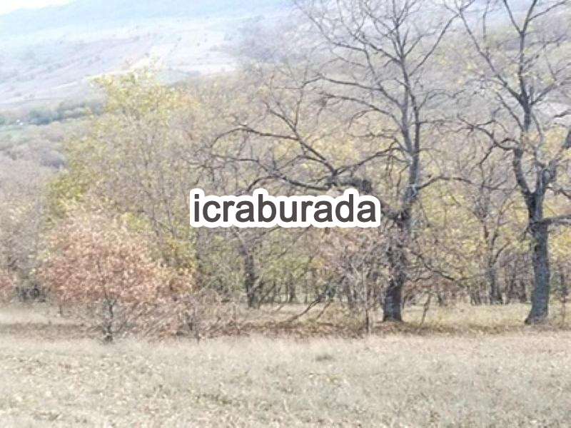 icralık  m2 Tarla Bilecik Söğüt Kepen